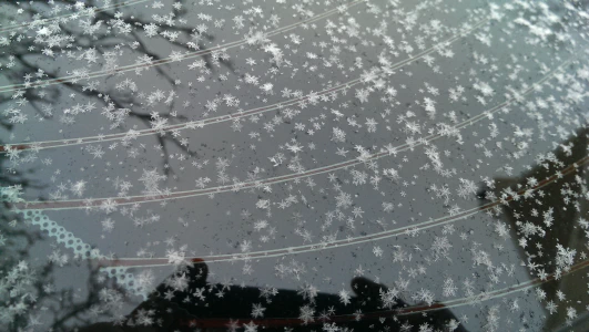 Snowflakes resting on a car's rear windshield.